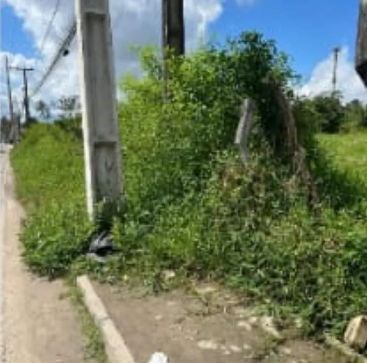 Reparo em rua de grande movimento no bairro Santo Antônio dos Prazeres