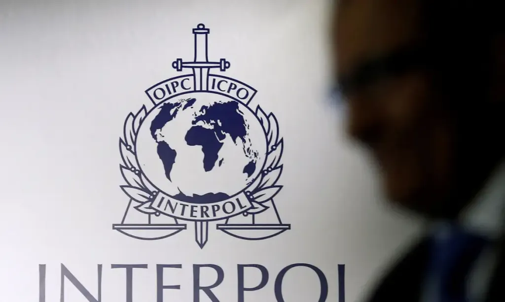 Interpol apreende US$ 450 mi em operação contra crimes cibernéticos