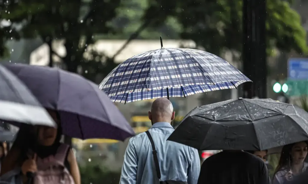 SP: Chuva, ventos fortes e queda de árvores deixam 900 mil sem energia