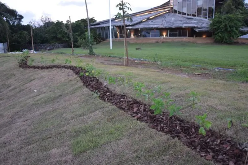 Em parceria com o Planta Bahia, PGE-BA realiza plantio de ipês na inauguração do novo anexo