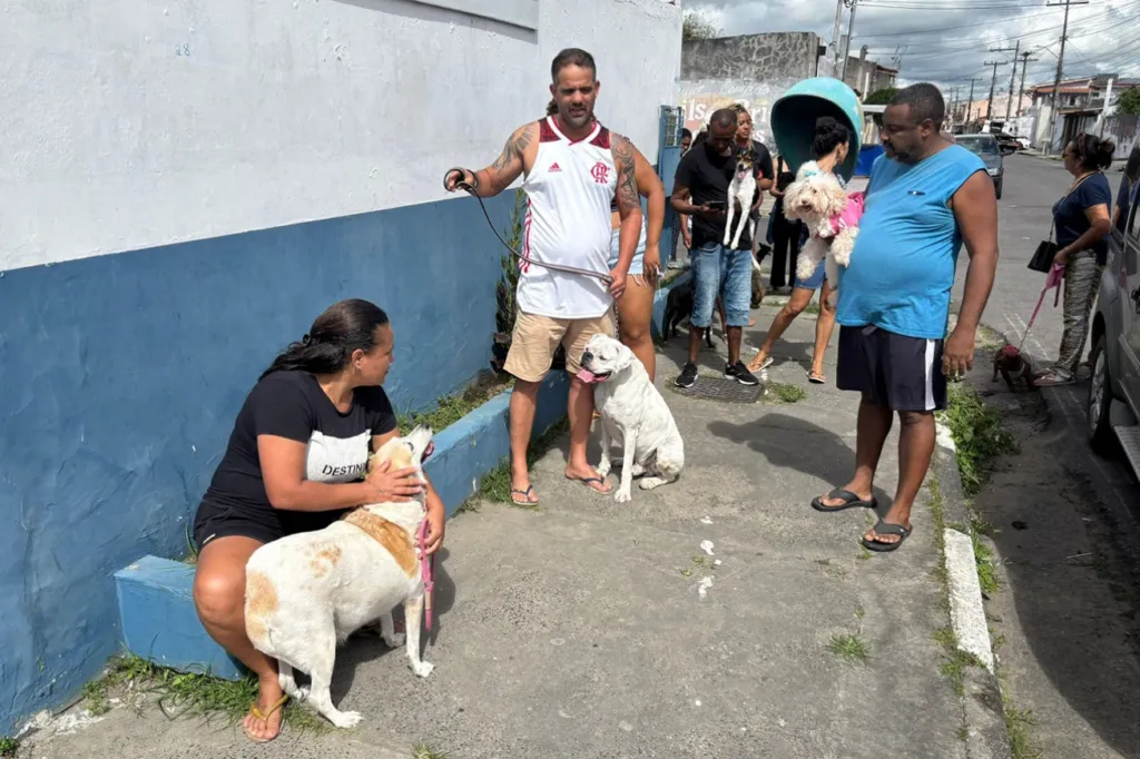 Vacinação antirrábica acontece neste sábado (27) em oito bairros de Feira de Santana