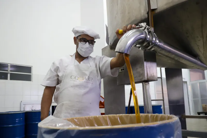 Mel produzido pela agricultura familiar fortalece a alimentação escolar no Semiárido Baiano