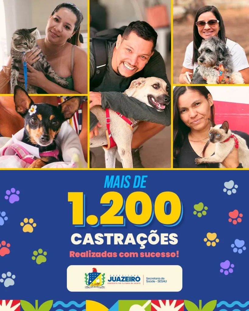 Juazeiro realizou mais de 1.200 castrações e microchipagens gratuitas de cães e gatos