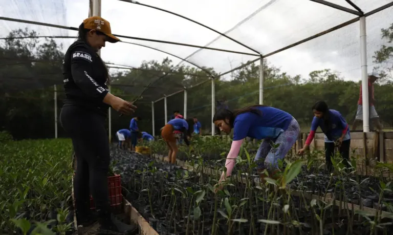 Governo fecha parceria para expandir energia renovável na Amazônia