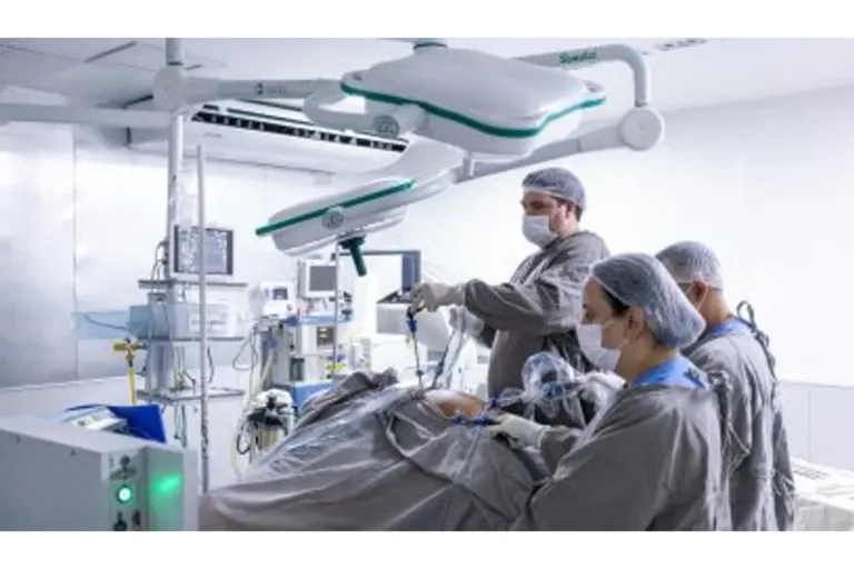 Prefeitura realiza ação de triagem cirúrgica no Horto Florestal