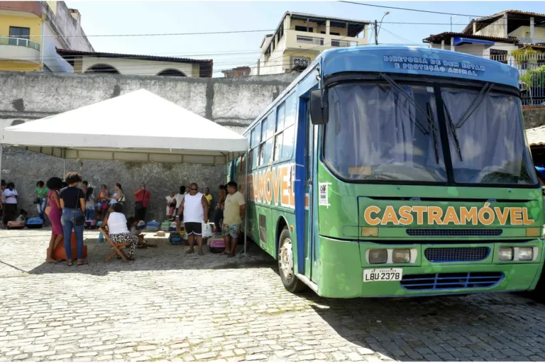 Castramóvel inicia castrações gratuitas para cães e gatos em Plataforma, nesta segunda (17)