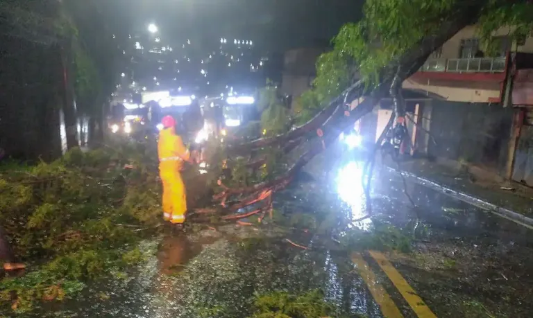 Ciclone deixa 1,2 milhão sem energia em São Paulo