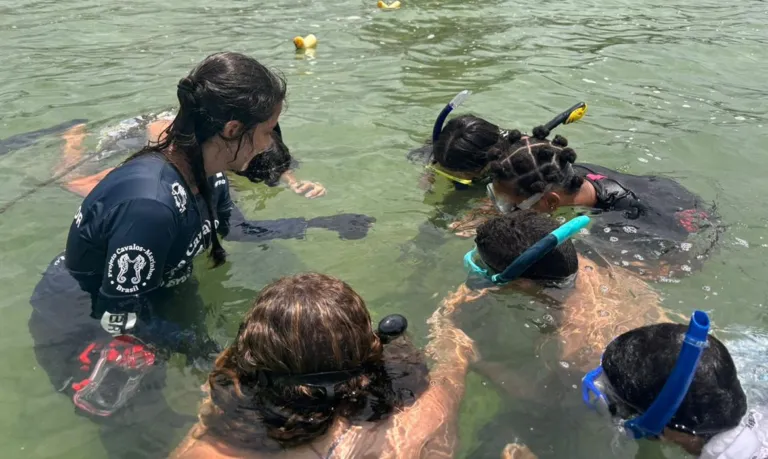 Projeto no Rio forma guardiões de cavalos-marinhos de 12 a 14 anos