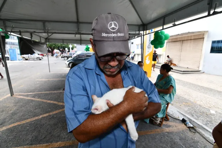 Feira de adoção proporciona novo lar para mais de 200 animais