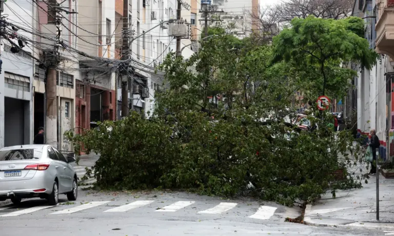 Prefeitura fecha todos os parques de São Paulo por causa dos ventos