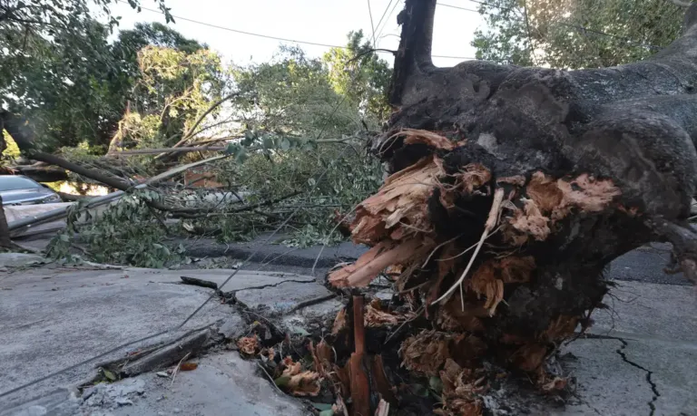 MIDR reconhece situação de emergência em 21 municípios
