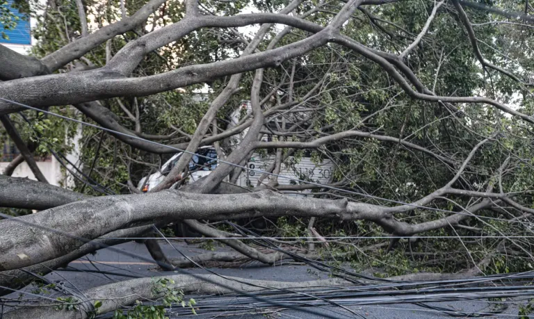 Volta a chover em São Paulo e número de pessoas sem luz aumenta