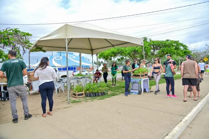Secretaria de Meio Ambiente distribui mudas na Olívia Flores e divulga Consulta Pública sobre Plano de Arborização