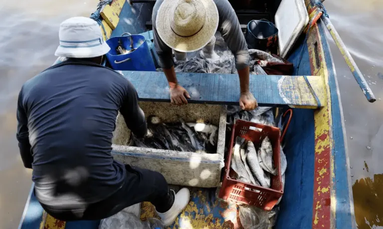 Pesquisadores encontram mercúrio em peixes da Baía de Guanabara