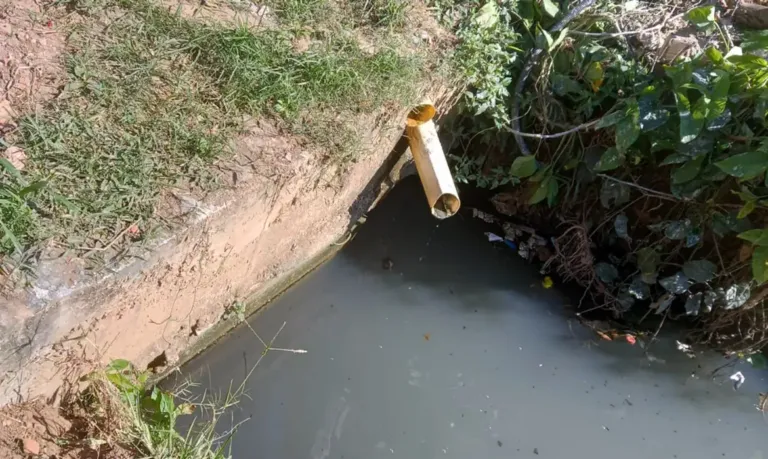 Quilombo em Cabo Frio denuncia despejo de esgoto na comunidade