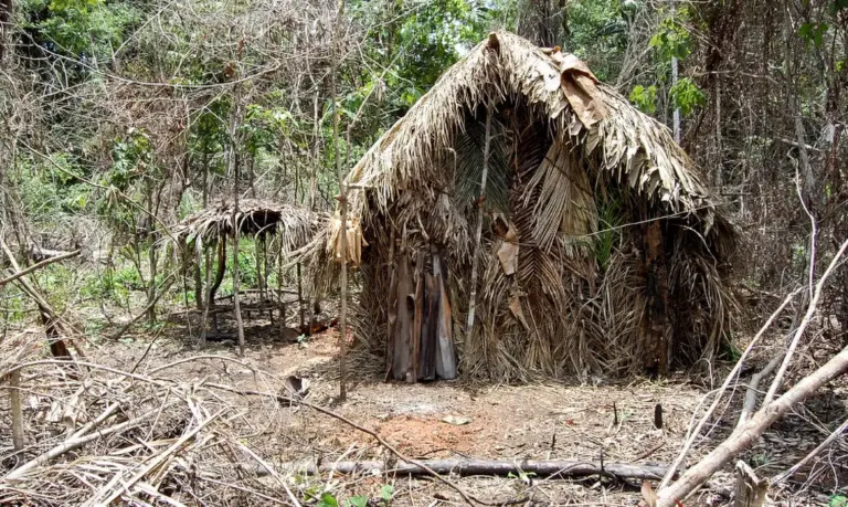 DPU afirma que consulta prévia não se aplica a indígenas isolados