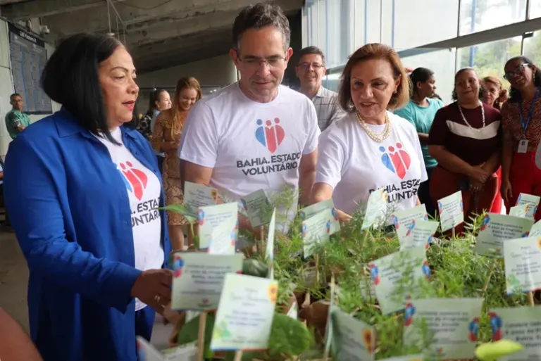 Plataforma baiana celebra Dia Internacional do Voluntariado