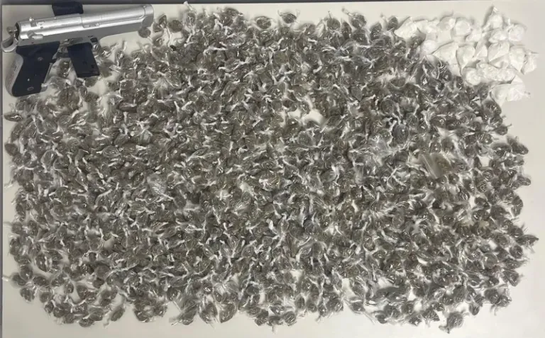 PM prende suspeitos de tráfico e apreende simulacro de arma de fogo em Camaçari