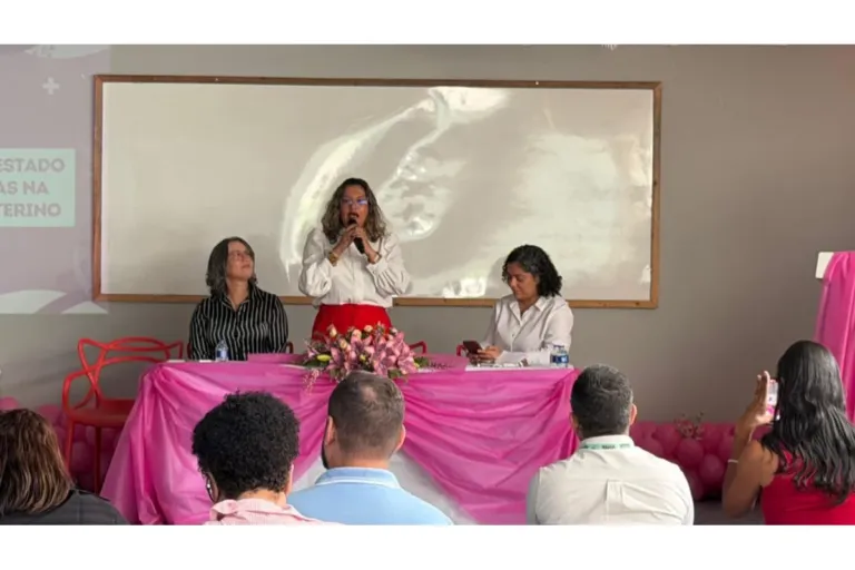 Profissionais de saúde participam de treinamento sobre novo método de rastreio do câncer do colo do útero