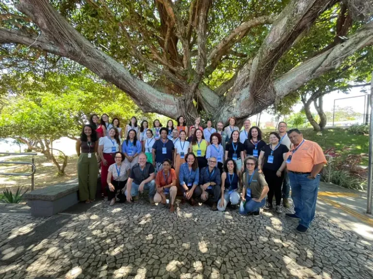 Oficina integra estados e fortalece ações do PAN Insetos Polinizadores em Salvador