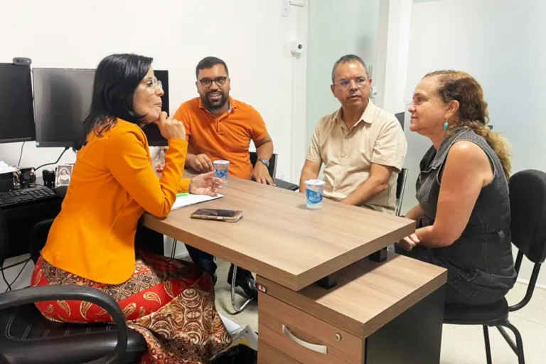 Reunião reforça ações de acessibilidade para o Natal Encantado 2025