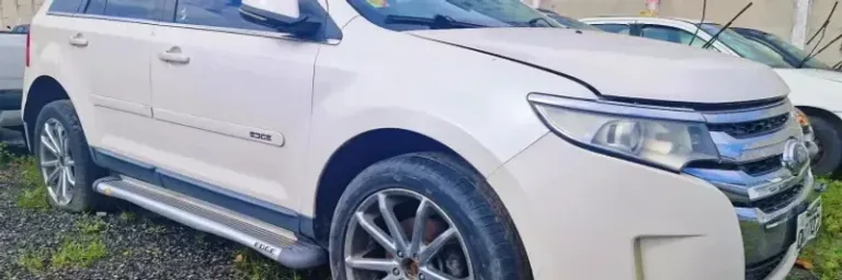 Leilão de bens públicos arrecada R$ 7,3 milhões