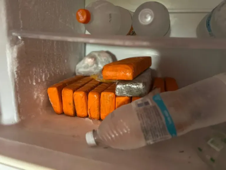 Ponto de armazenamento de armas e drogas é estourado em ação integrada da Polícia baiana