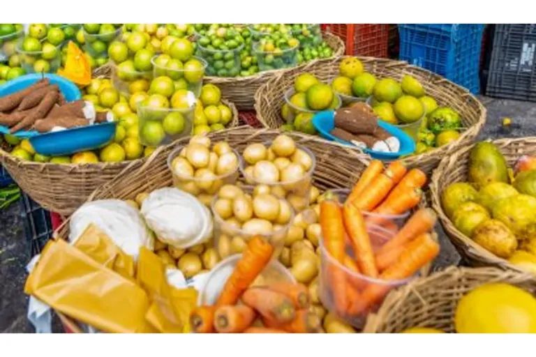 Agricultores de Camaçari firmam contrato com o IFBA para fornecimento de alimentos da merenda escolar