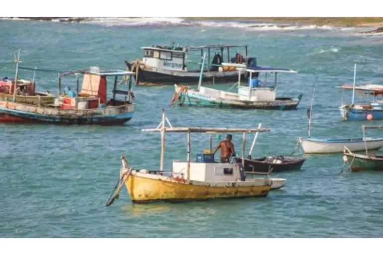 Prefeitura antecipa pagamento do Mais Pesca e reforça compromisso com pescadores e marisqueiras