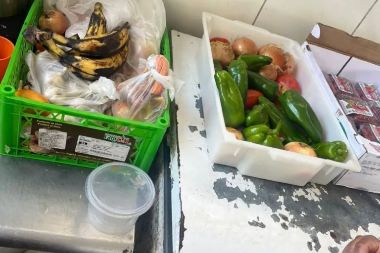 Vigilância Sanitária interdita estabelecimento do ramo alimentício por irregularidades sanitárias