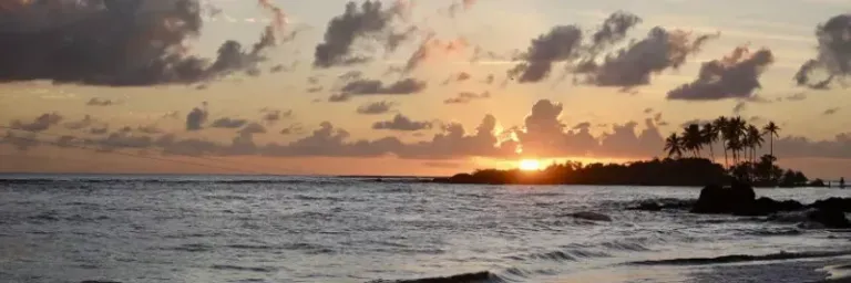 Ações de reabilitação do CETAS garante retorno de mais de 15 animais silvestres ao habitat natural