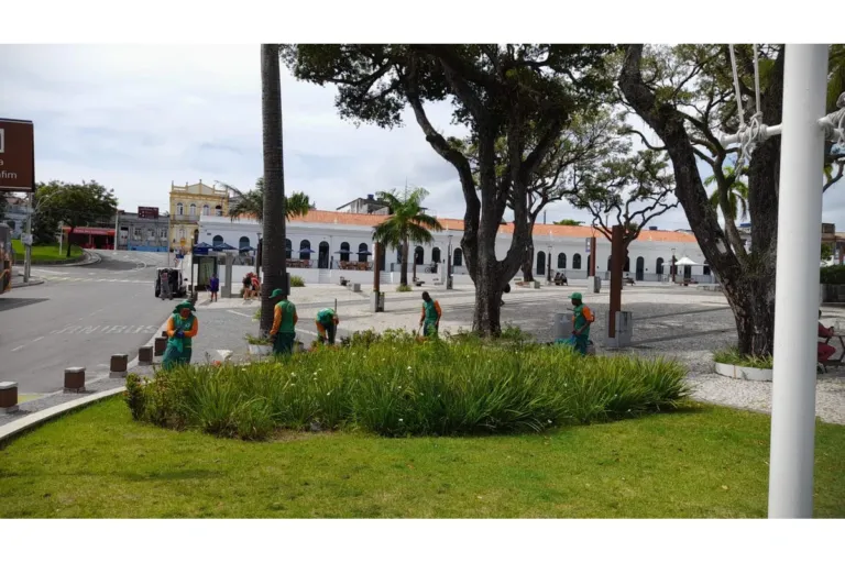 Prefeitura reforça manutenção periódica do paisagismo e arborização na cidade