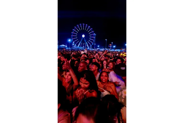 Salvador Digital tem 4,7 mil atendimentos e WhatsApp da Prefeitura soma quase 10 mil interações no 3º dia do Virada Salvador