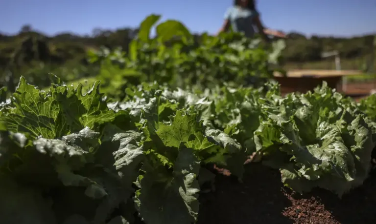 Acordo garante terras a 3 mil famílias em assentamentos no Paraná