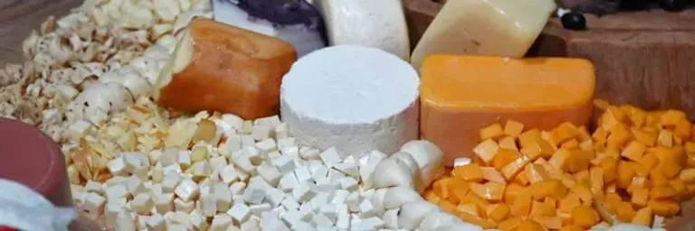 Seagri inicia encontros com cadeias produtivas para fortalecer Câmaras Setoriais: cacau e café abrem programação