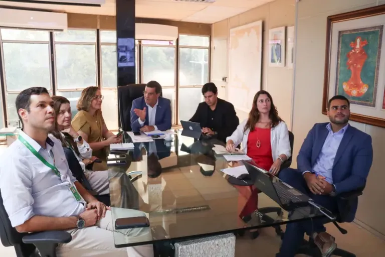 Diálogo entre SDE e Ibama impulsiona projetos de energia e mineração na Bahia