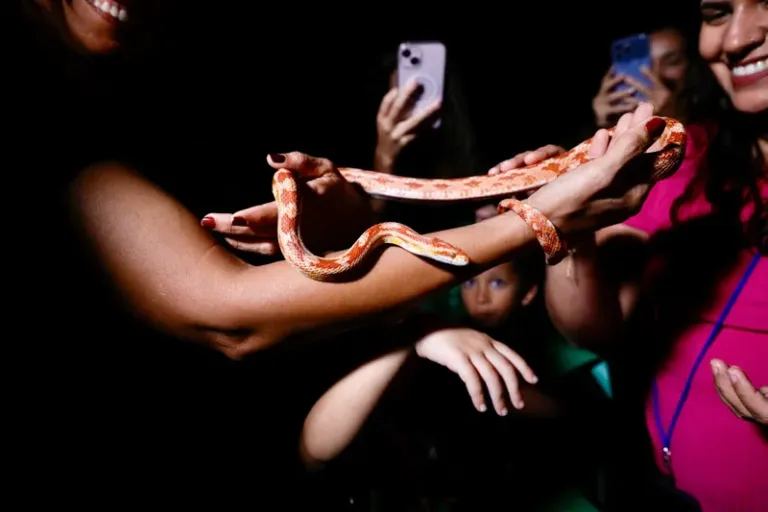 Primeiro Zoo noturno do ano acontece na próxima terça-feira (27)