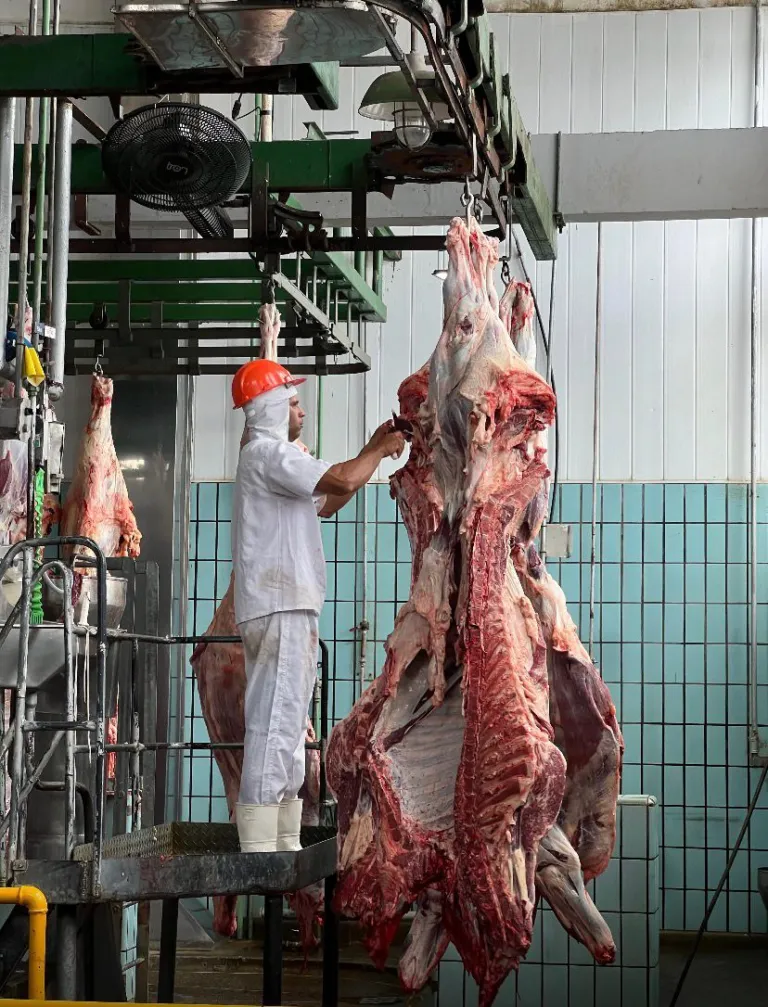 Arroba do boi se mantém em R$ 320 e mercado avalia nova alta ainda esta semana