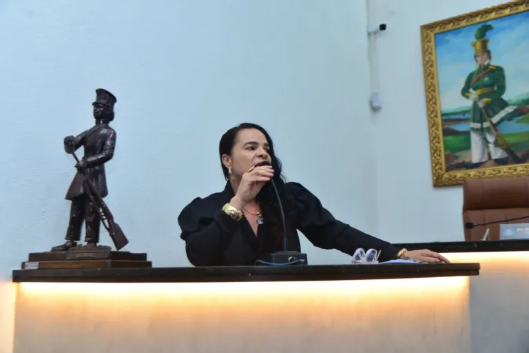 Procuradoria da Mulher propõe articulação entre órgãos para enfrentar o feminicídio em Feira