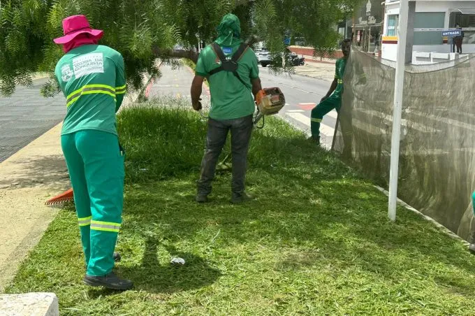 Semma realiza serviços de manutenção paisagística e poda de árvores nas avenidas Brumado e Olívia Flores