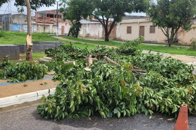 Vitória da Conquista registra precipitação média de 52 mm em quatro dias e segue com ações preventivas