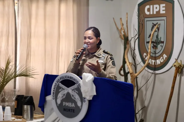 Notícia sem título