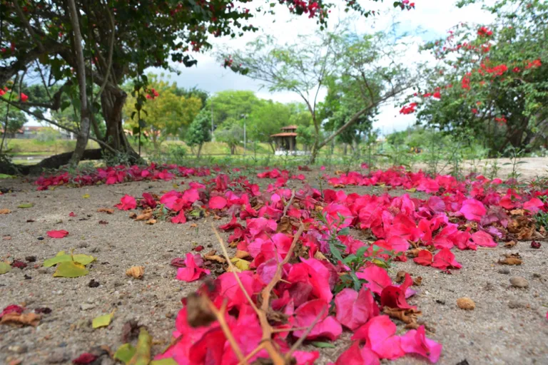 Sol, chuva e alta temperatura no final de semana, diz previsão