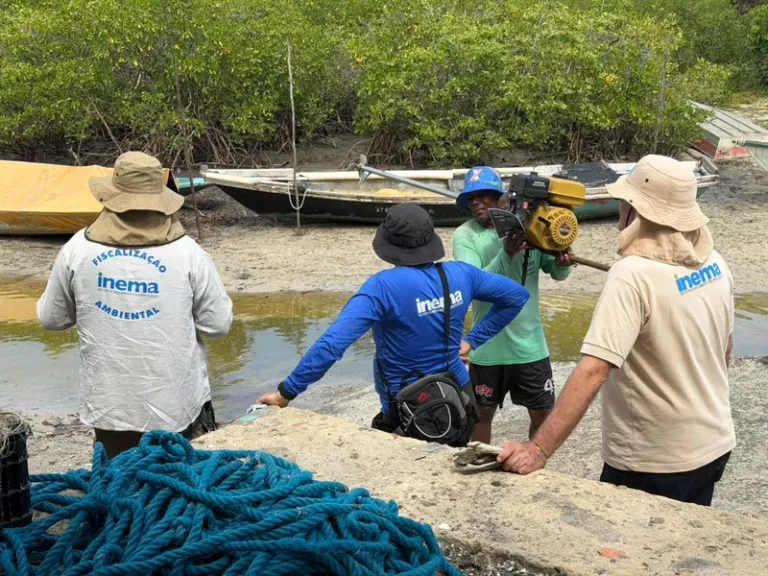 Inema intensifica ações no defeso do caranguejo-uçá e solta mais de 5,7 mil animais