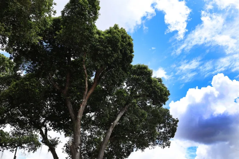 Final de semana com até 30°, diz previsão do tempo