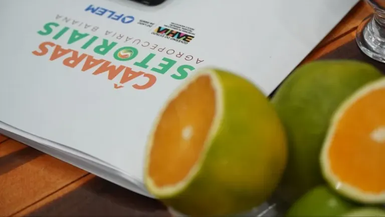 Câmaras Setoriais em debate: cacau, sisal, dendê e citrus abrem o calendário 2026