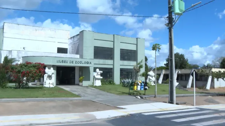 Museus em Feira de Santana, Cultura Surda e Amadeus estarão no Bem Bahia da TVE