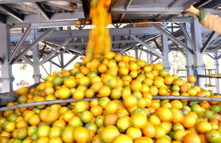 Bahia segue entre os dez maiores produtores brasileiros de grãos em 2026