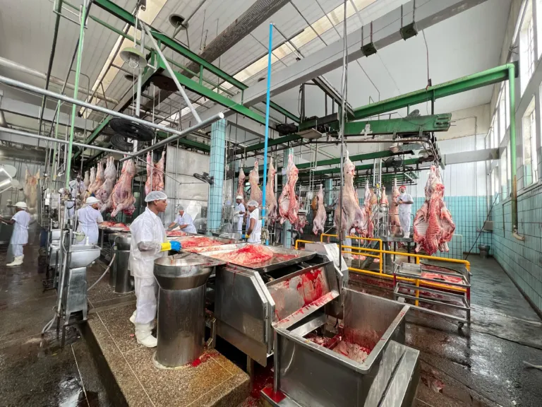 Arroba fecha fevereiro a R$ 340 e mercado reage à menor oferta