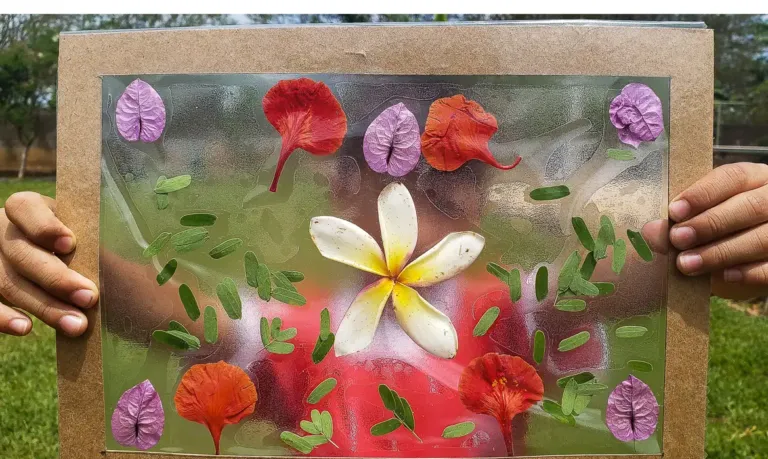 TEDxAmazônia 2026 será realizado pela 1ª vez fora do Brasil